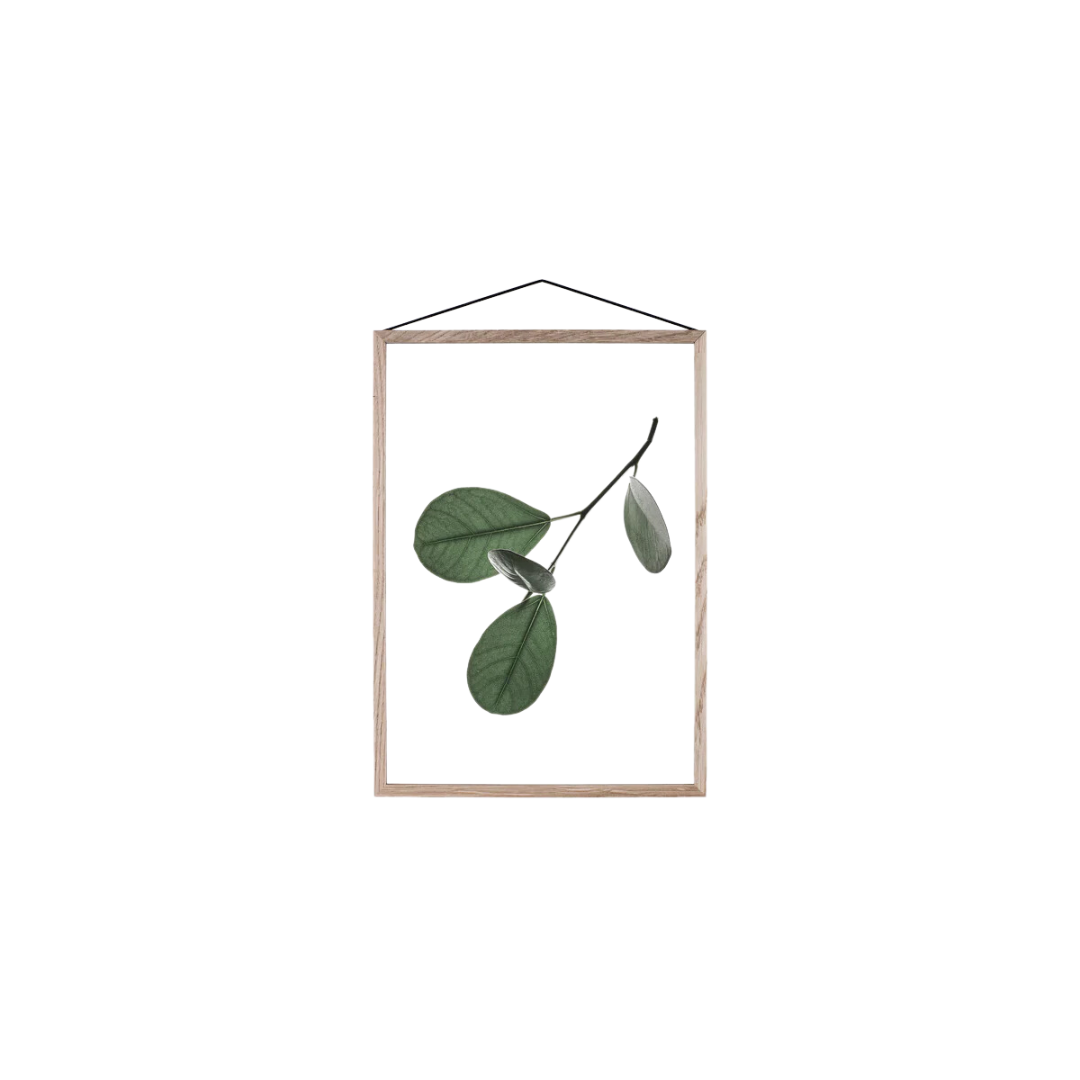 Floating Art Prints