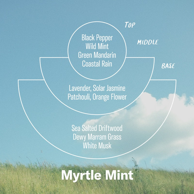 Myrtle Mint - Incense Cones