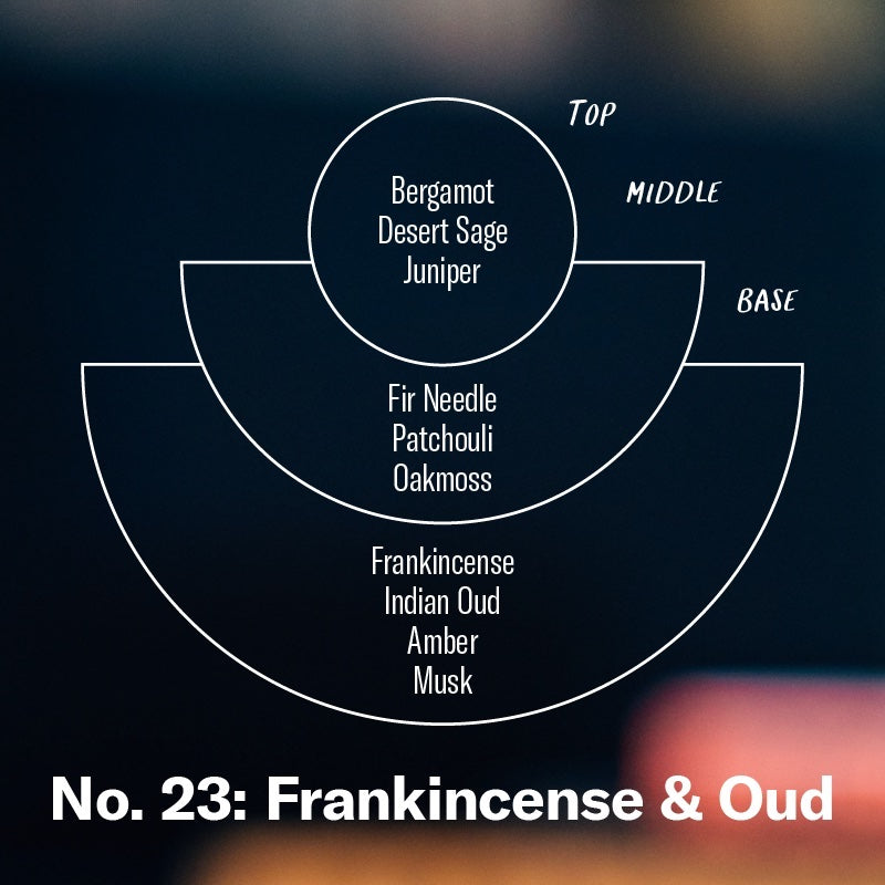 Frankincense & Oud - 7.2 oz Standard Soy Candle