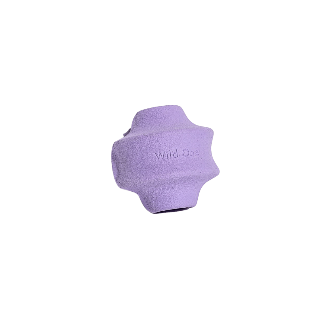 Twist Toss Toy - Lilac