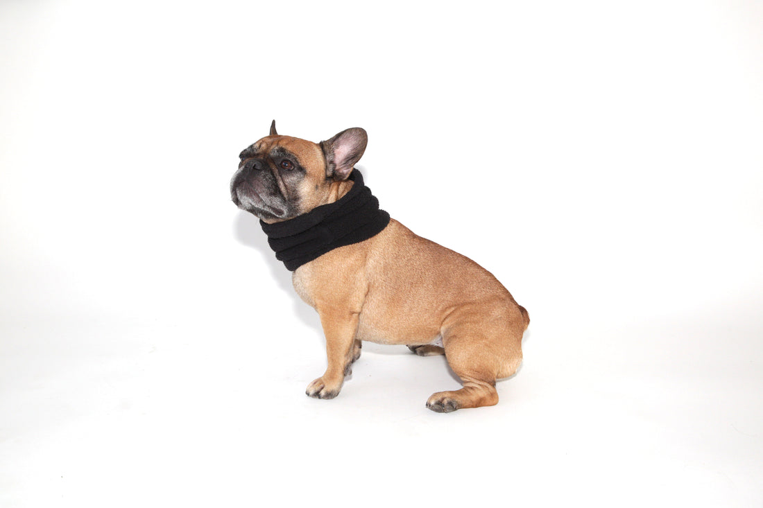 Dog (and Adult) Snood Neck Tube - Black