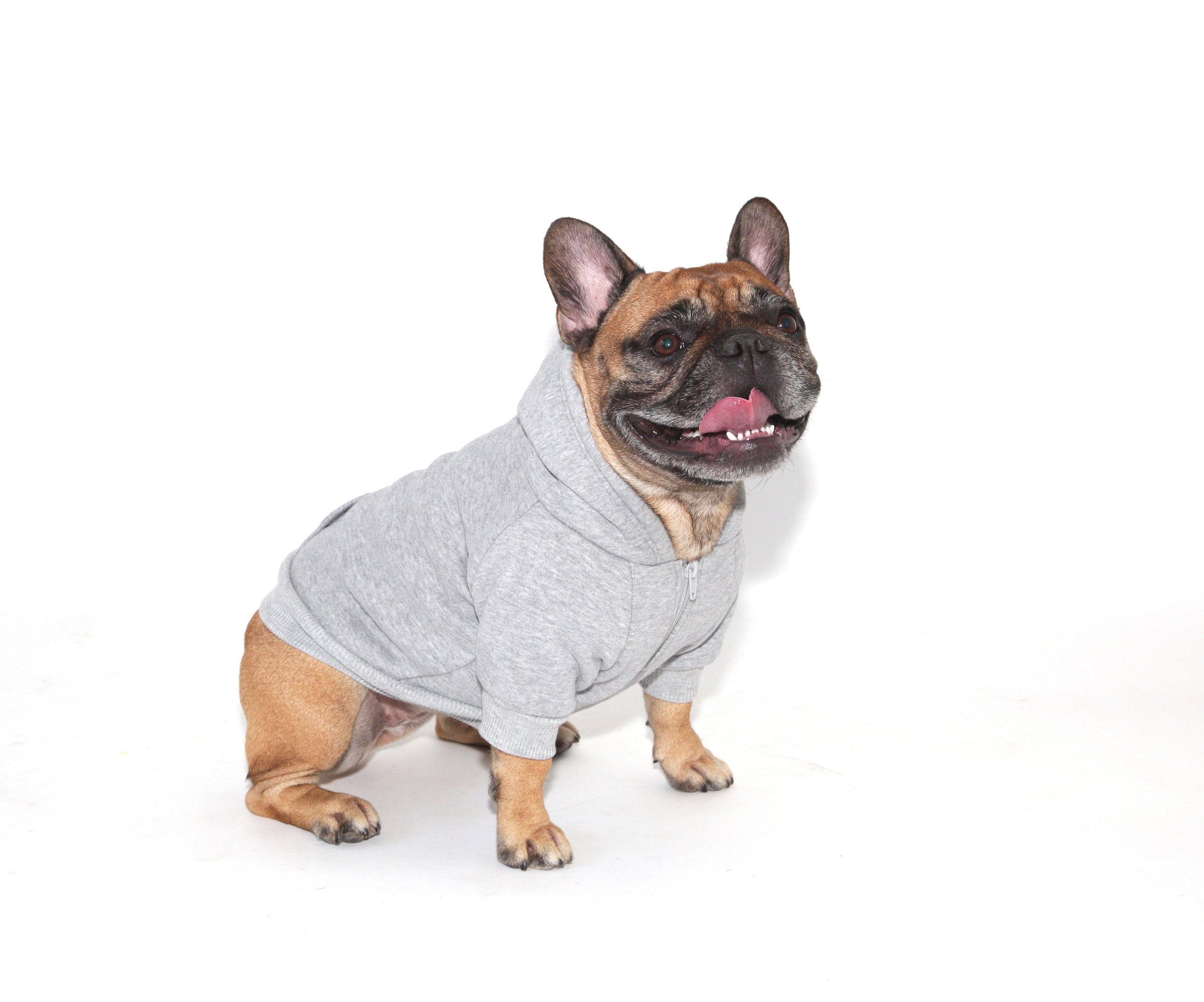 Dog Sweatshirt Hoodie - Heather Grey